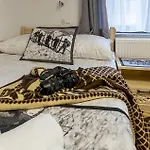 Pokoje I Olivia *